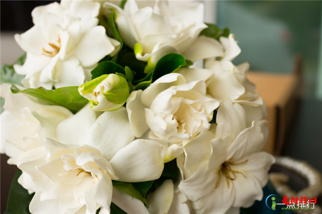 十大婚礼用花大全 婚礼上最受欢迎的鲜花