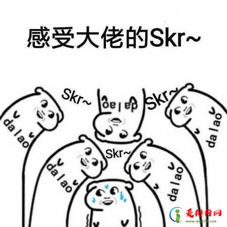 2018年度十大网络用语 “skr”最为热门