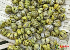 中国九大仙草排名,石斛是国家一级保护植物、天山雪莲能通经活血