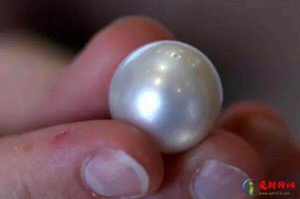世界上最著名的十大珍珠,常见出名的10大珍珠