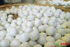 <b>汕头必买的十大特产,汕头十大特产排名</b>