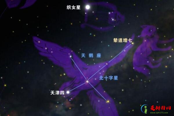 宇宙最大星球十大排名,宇宙中最大的星球是什么