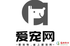 中国十大宠物交易平台 汇集各大宠物交易网