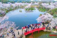 <b>世界三大赏樱胜地 世界看樱花最好的地方</b>