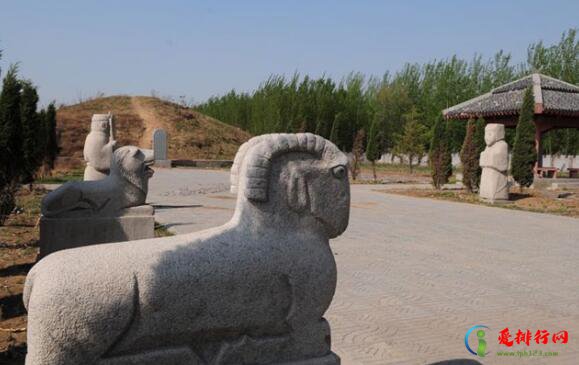 东营好玩的地方排行榜,东营哪里好玩景点排名