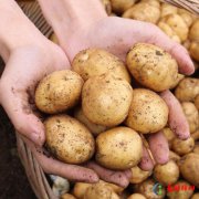 凉山特产有哪些 四川凉山州十大特产排行榜