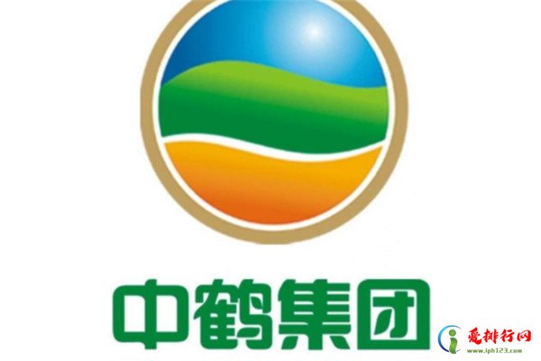 河南挂面品牌排行榜前十 河南十大挂面排行榜