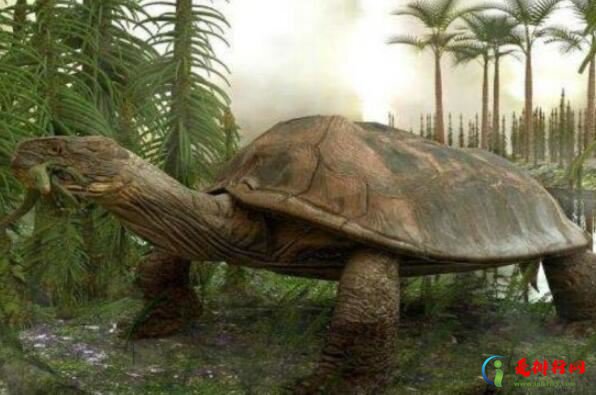 地球远古十大灭绝动物排行榜 帝王鳄号称地球上体型最大的鳄鱼之一