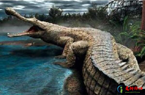 地球远古十大灭绝动物排行榜 帝王鳄号称地球上体型最大的鳄鱼之一