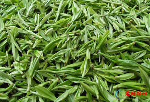 中国十大名茶排行榜 中国好茶都有那些