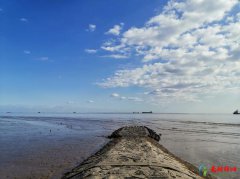 上海避暑胜地有哪些 上海十大避暑胜地排名