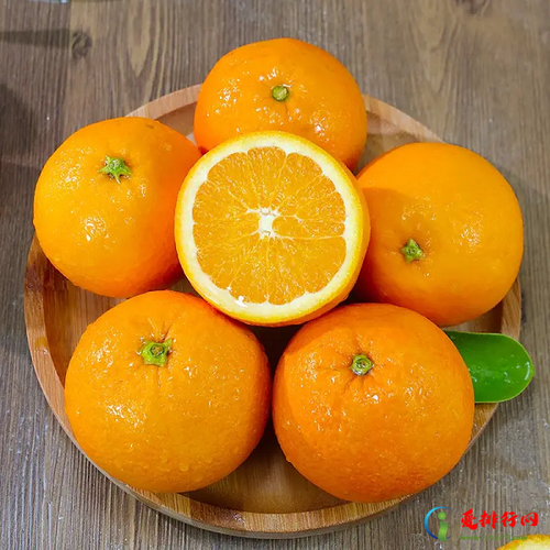 橙子能放冰箱保存吗 橙子的其他保存方法