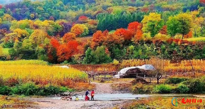 吉林省秋天哪里好玩 吉林适合秋季游玩的十大景点推荐