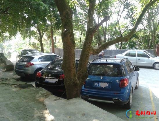 乱停车联系不到车主怎么办?车被堵了打122拖车费用谁出? 乱停车联系不到车主怎么办?车被堵了打122拖车