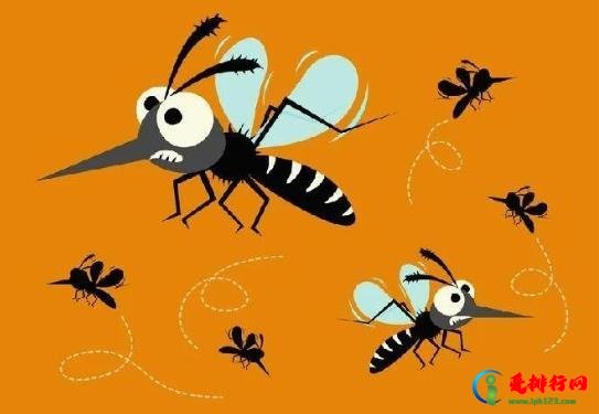 蚊子什么时候最活跃?蚊子喜欢待在屋里什么地方 蚊子什么时候最活跃?蚊子喜欢待在屋里什么地