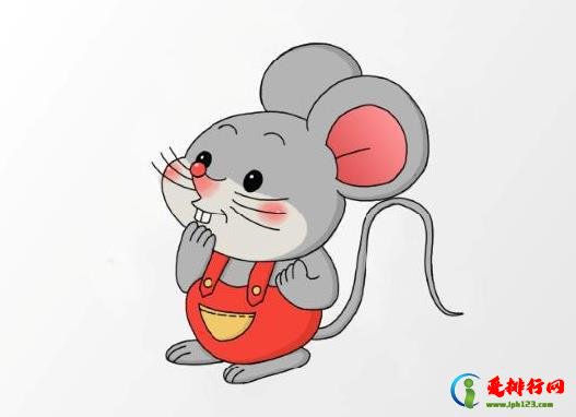 老鼠明明在房间但是找不到是咋回事?老鼠太精明抓不到怎么办? 老鼠明明在房间但是找不到是咋回事?老鼠太精