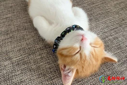 空调挡风板有用吗?空调开一天不关有事吗? 空调挡风板有用吗?空调开一天不关有事吗?