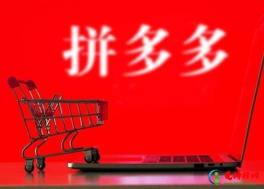 拼多多800元差0.01需要多少人?拼多多800现金需要多少人助力? 拼多多800元差0.01需要多少人?拼多多800现金需要