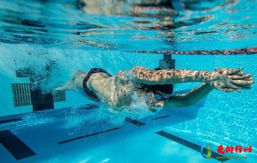 蛙泳长高还是自由泳长高 游泳长高几个月见效 蛙泳长高还是自由泳长高 游泳长高几个月见效