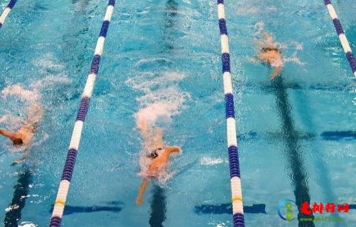 蛙泳瘦大腿还是粗大腿呢 蛙泳和自由泳哪个锻炼效果好 蛙泳瘦大腿还是粗大腿呢 蛙泳和自由泳哪个锻炼