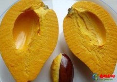 世界名字最奇葩的十大水果,蛋黄果能镇静止痛、菠萝莓备受时尚界宠爱